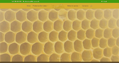 Desktop Screenshot of diproansa.com